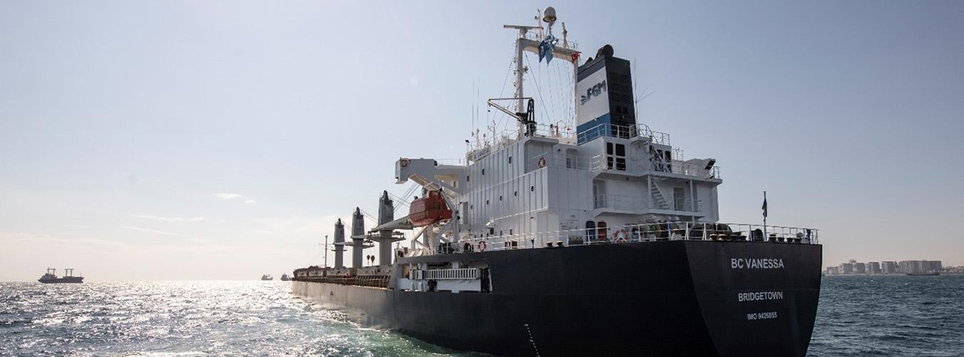 Зернова угода: в портах України залишилося всього два кораблі