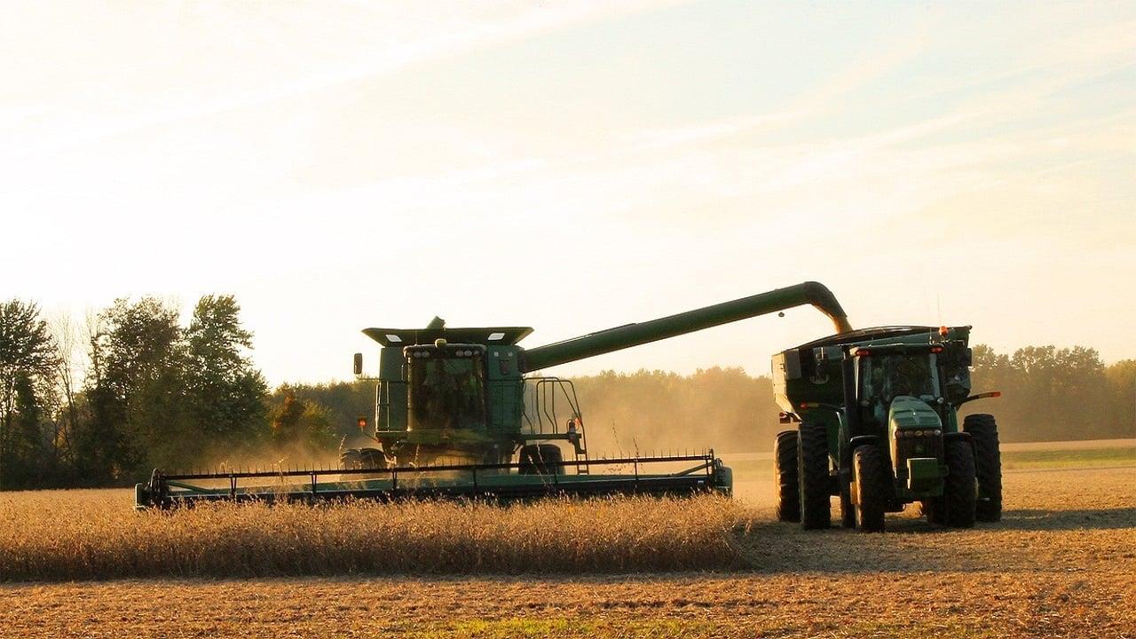 Євросоюз може отримати майже всю аграрну продукцію з України