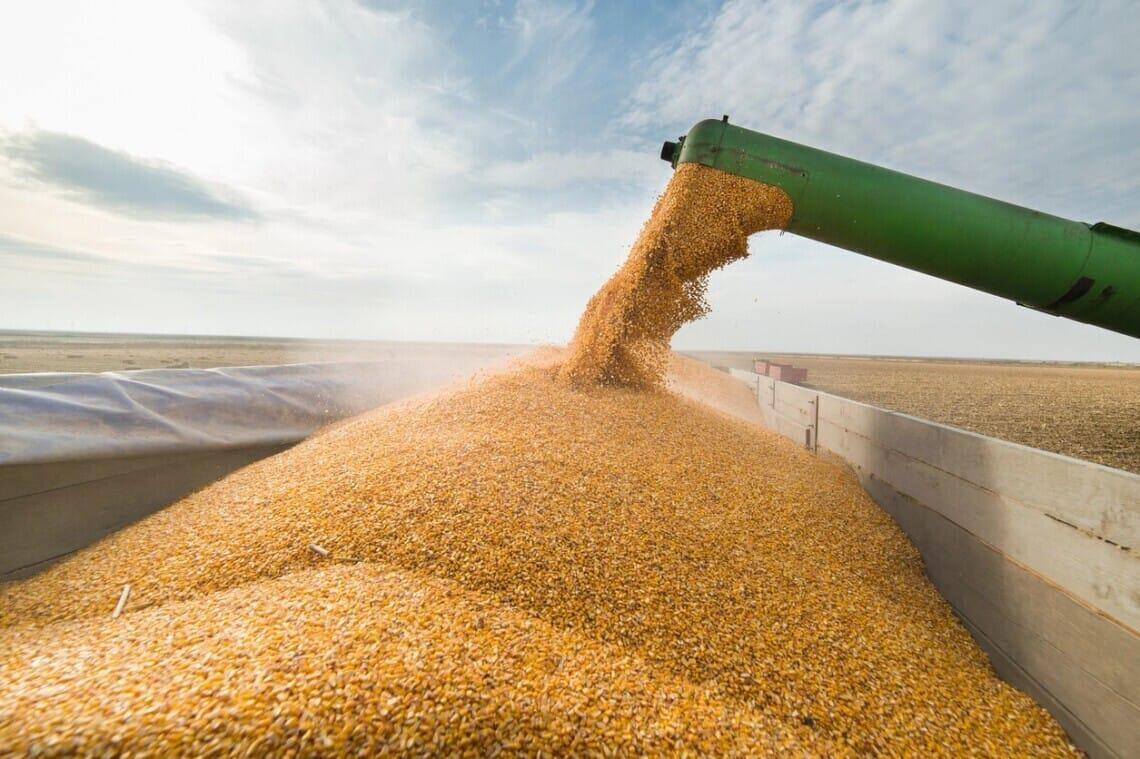 Експорт зерна з України через польські порти в червні зріс до 260 тис. т. 