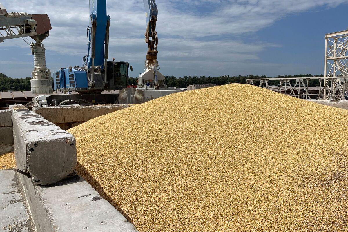 Якщо Єврокомісія продовжить своє рішення щодо імпорту зерна в Україну, ми будемо скаржитися