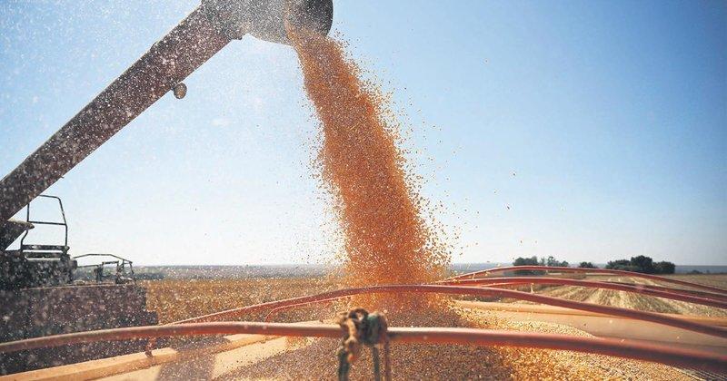 1 млн т російського зерна планують переробити в Туреччині та відправити до найбідніших країн Африки