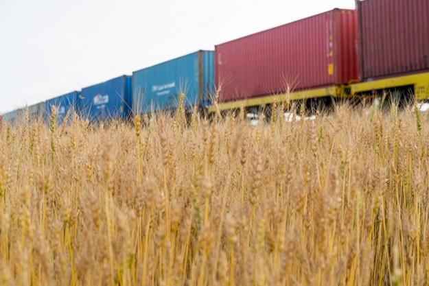 Єврокомісія не продовжила ембарго на ввезення українського зерна до сусідніх країн