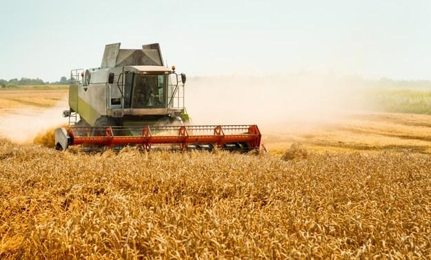 Україна залишається на своїй позиції щодо видачі власних ліцензій на зерно