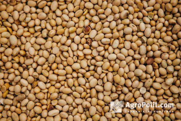 Документи, які підтверджують фітосанітарну перевірку місць вирощування сої та кукурудзи необхідно до 1 листопада