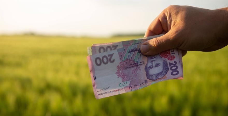Ринок сільськогосподарської землі в Україні діє більше двох років