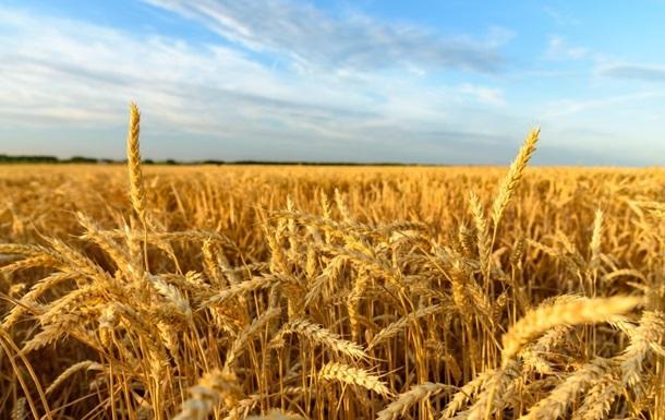 У 2022 році врожай за оцінкою профільних організацій досяг 73,8 млн т зернових та олійних