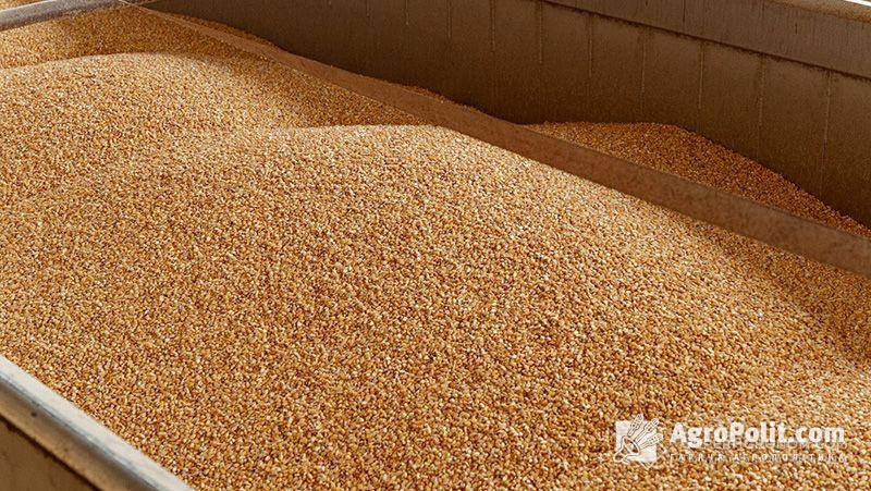 Вдалося відправити 5,2 млн т пшениці і цей показник на 12% менший минулорічного