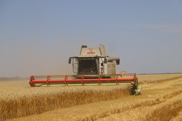 Тарас Висоцький повідомив, що всього олійних та зернових культур аграрії планують зібрати 80 млн т