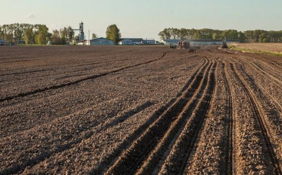 Аграрії хочуть купувати землю, і при цьому вони не готові реалізовувати власні земельні банки