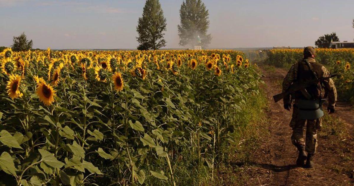 Євросоюз закупив 1 млн т соняшникової олії з України