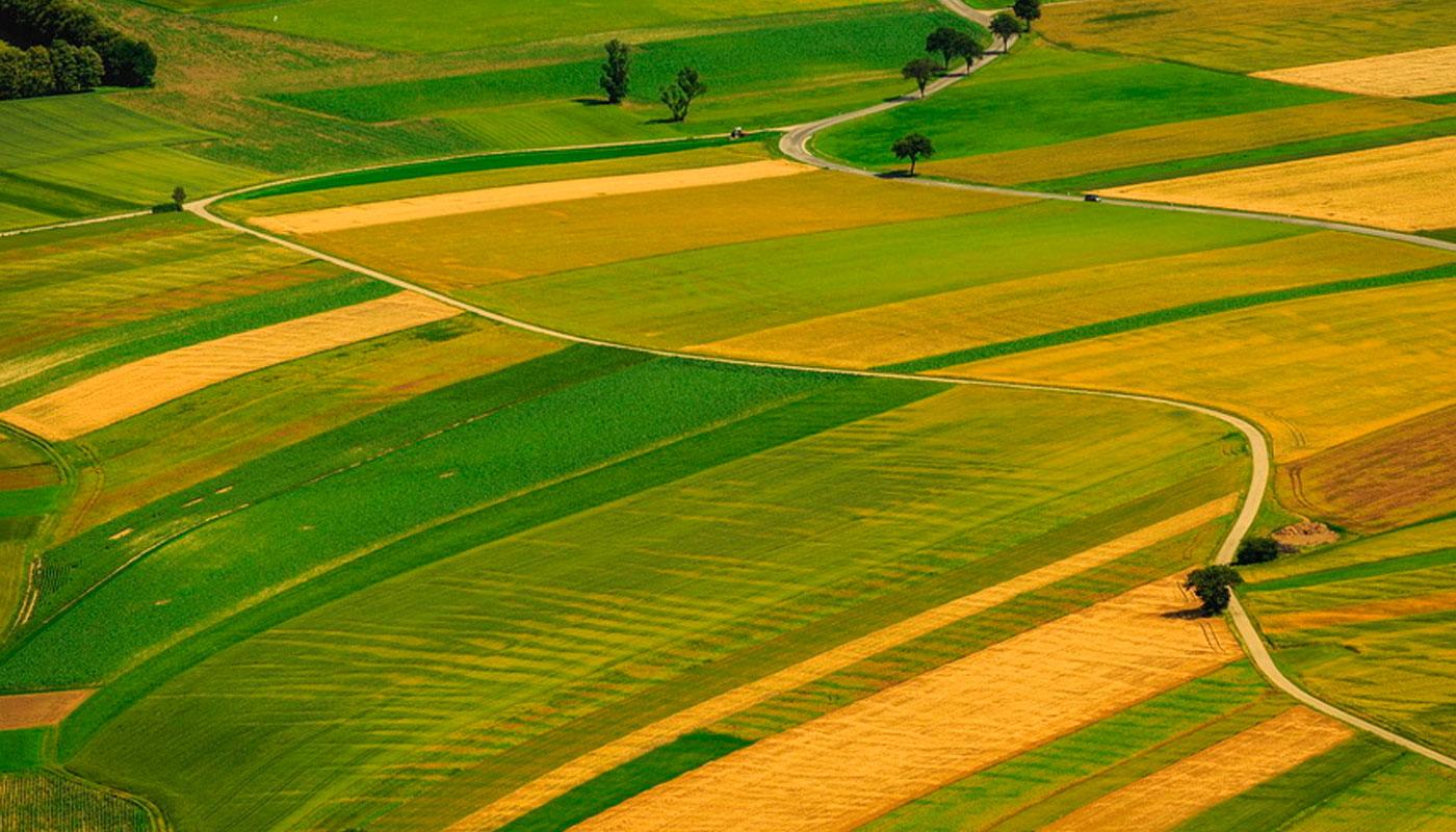 Ціна сільськогосподарської землі може відрізнятися, як в залежності від регіону, так і виходячи з обраної ділянки