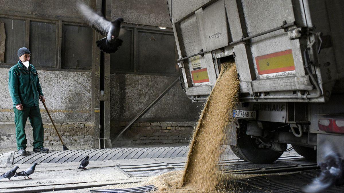 В контексті надмірного експорту зерна з України Польща очікує більш активної позиції з боку Єврокомісії 