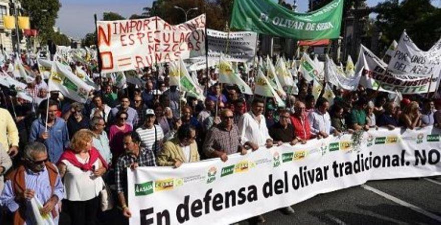 Іспанські фермери протестували по всій країні.