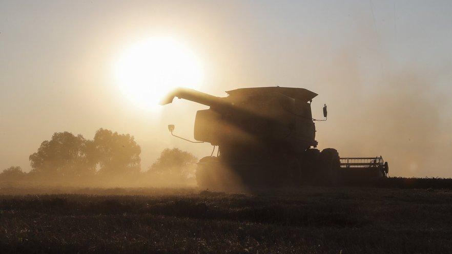 Закон забороняє ввезення сільськогосподарської та кормової продукції до Латвії з рф та Білорусі