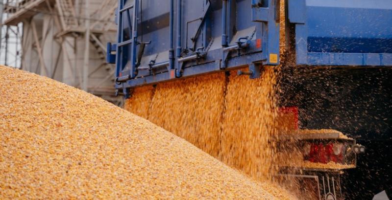 Євросоюз запровадить мита на зерно з рф та Білорусі