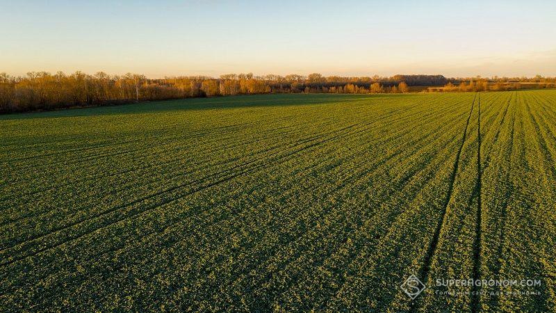 Документ пропонує змінити Земельний кодекс