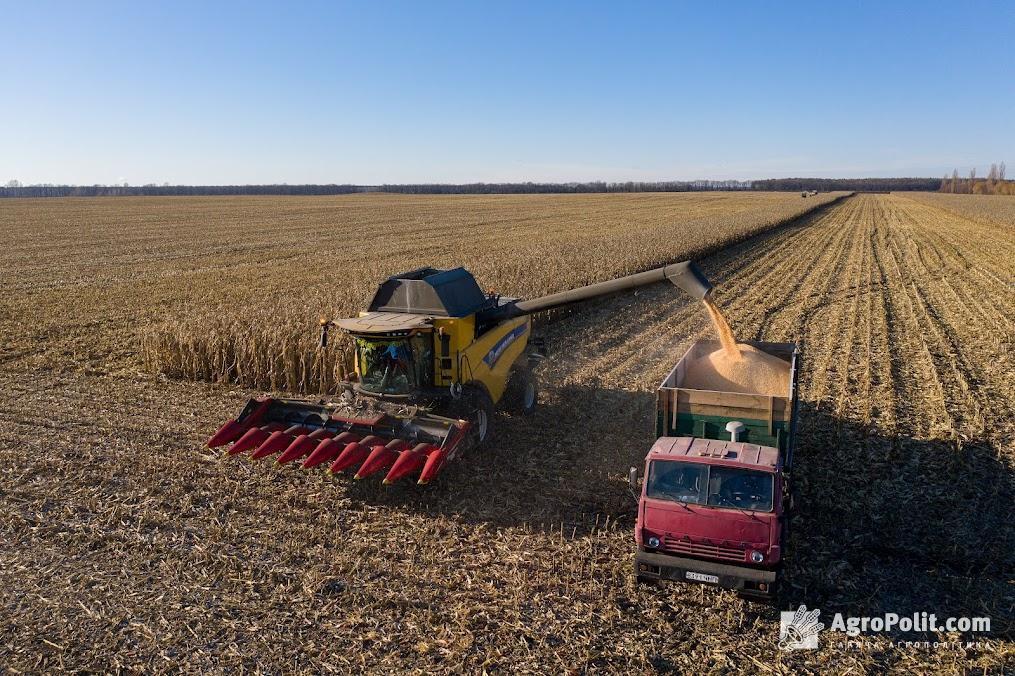 Україна може втратити 11,2 млн т  зернових з нового врожаю через посуху