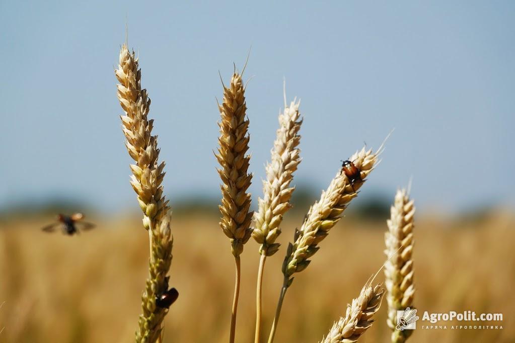 В Україні вже створено 43 організацій водокористувачів