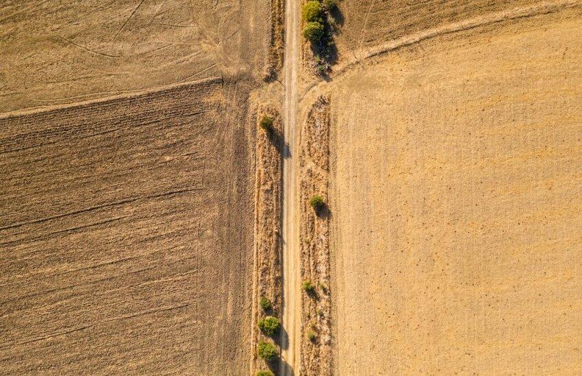 Онлайн-аукціони створюють рівні умови для учасників та сприяють ефективному використанню земельних ресурсів