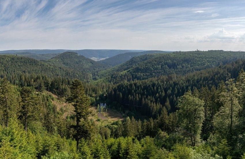 До незалежних членів увійшли Маркіян Витвицький, Робертс Стріпніекс і Янне Харьюнпяя