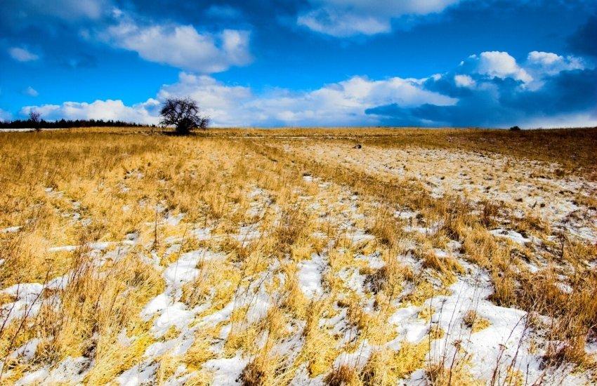 Лоти були представлені у восьми регіонах Україн