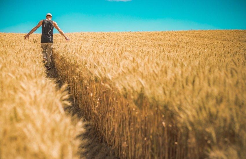 Підтримали зниження вимог до кредитування для фермерів