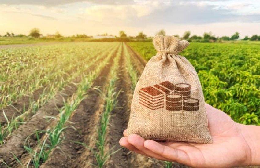 Наразі майже всі діючі програми державної та міжнародної підтримки агросектору реалізуються через ДАР