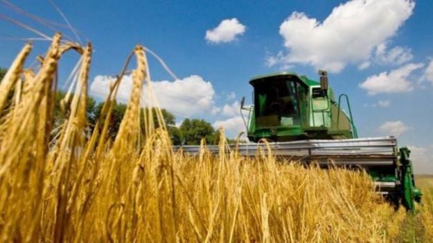 Більшість сільськогосподарських земель України перебувають в оренді