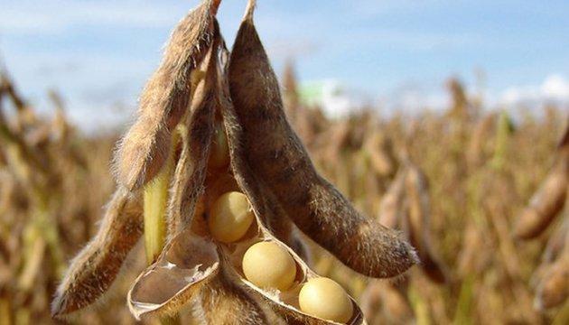 Нерівномірна пропозиція соняшнику не дозволила упродовж вересня-березня сформувати достатні запаси