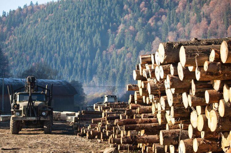 Проєкт припиняє практику за якою постійні лісокористувачі укладали прямі договори купівлі-продажу