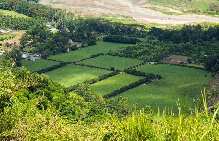 Під час торгів надійшла 21 пропозиція від учасників