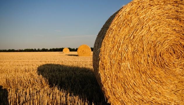 Кадастрові номери присвоюються при первинному формуванні земельних ділянок