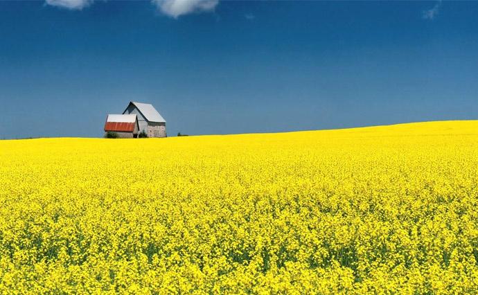 Помилки за згодою власника земельної ділянки можуть бути виправлені 