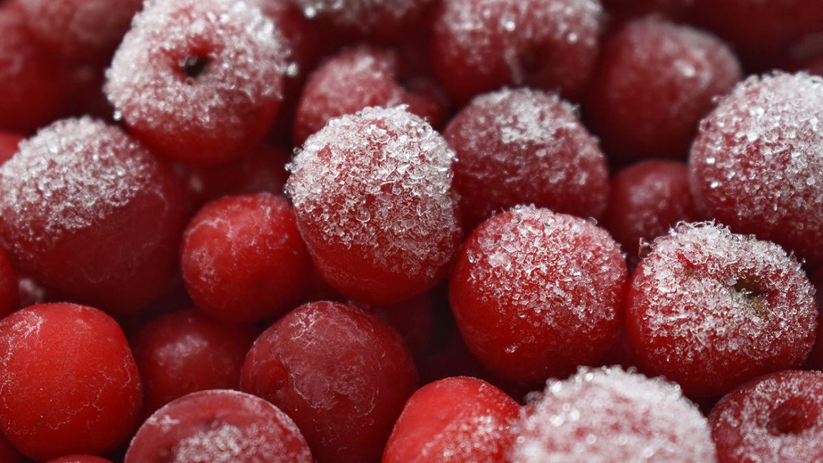 Плодоягідні культури − цінний і динамічний напрям розвитку аграрної сфери України