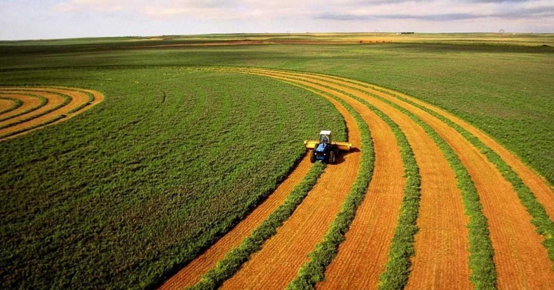 Наприкінці квітня середня вартість гектара землі становила 86655 грн