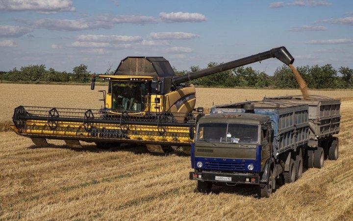 Зазвичай сира пшениця забирає всю квоту