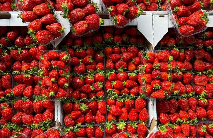 Різке збільшення обсягів полуниці на ринку спричинило зниження відпускних цін у цьому сегменті
