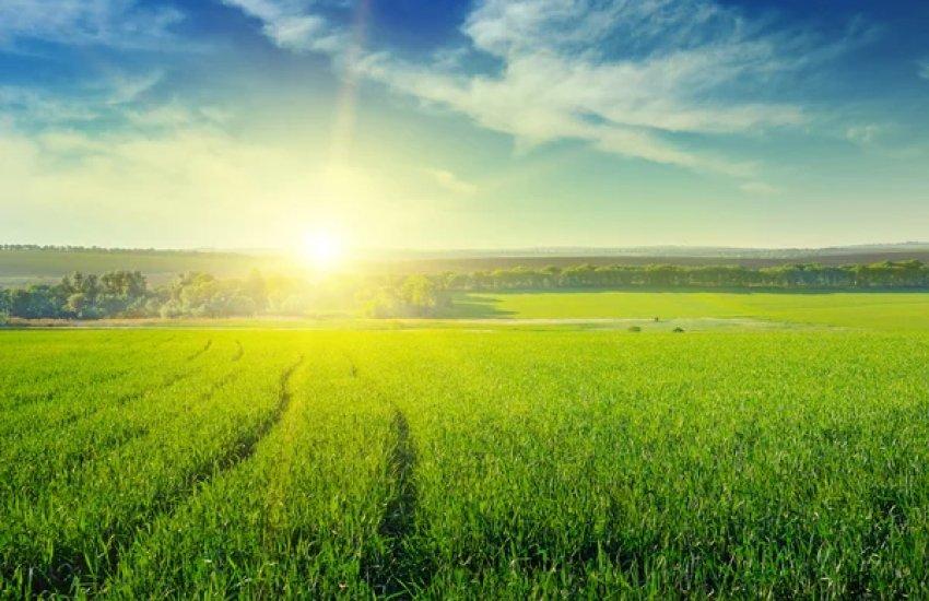 Українські платники податків значно збільшили свої внески у розвиток громад