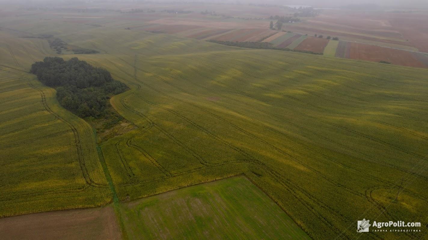 Орендна плата на землю в Україні зростатиме щороку в доларовому еквіваленті на 5%