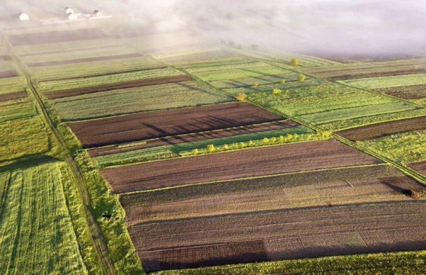 Кабмін планує до 31 грудня 2026 року реалізувати пілотний проєкт щодо землі