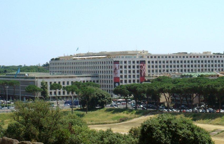FAO діє як нейтральний форум