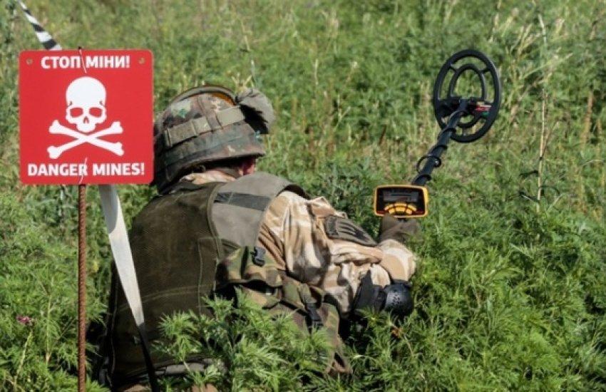 Станом на червень гуманітарним розмінуванням в Україні займалися 100 операторів та 278 машин для розмінування