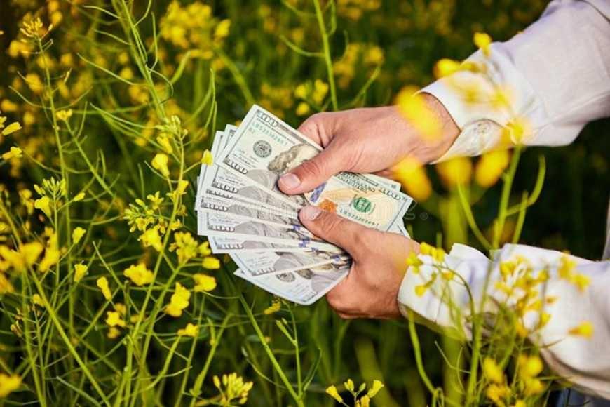 Закон який запроваджує мита на сою та ріпак, ще навіть не підписаний