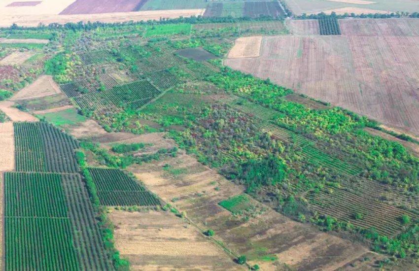 Загальна площа виставлених лотів становила 1970,6 га