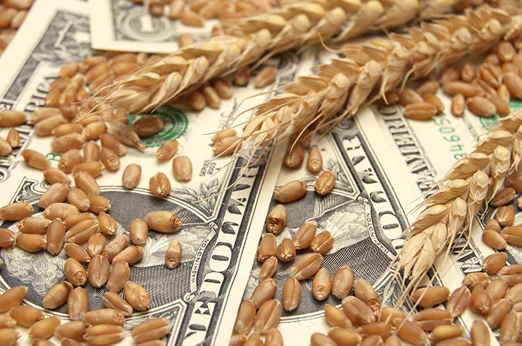 У сегменті аграрної сировини сильніше всього знизилися обсяги продажів кукурудзи (-25,6%) і пшениці (-15,2%). 