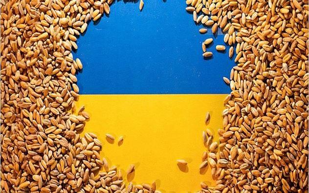 Завдяки підвищенню вартості агропродукції при менших обсягах торгівлі Україна тільки на експорті зерна заробила $8,1 млрд