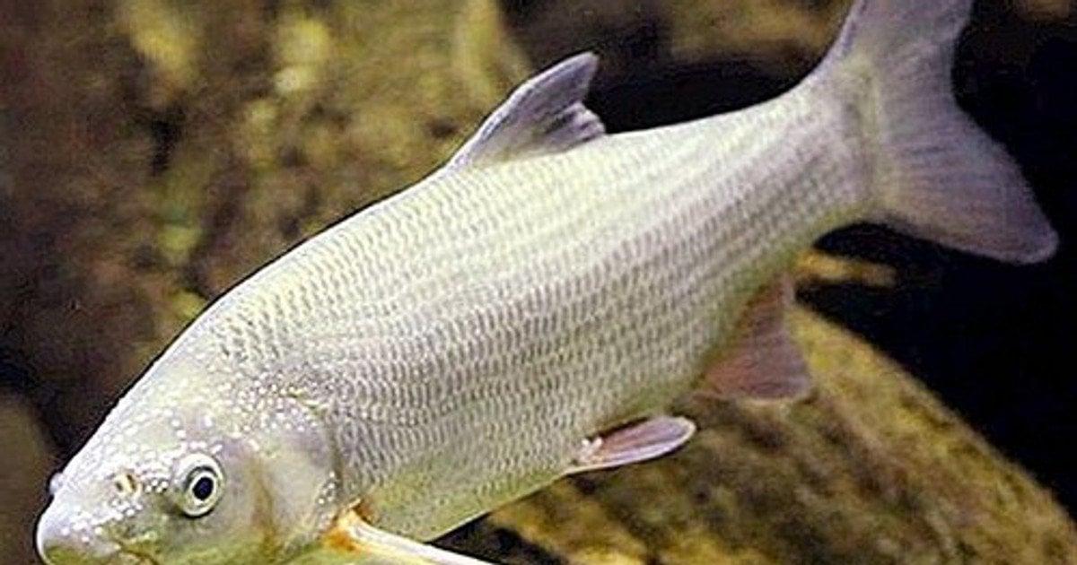 В умовах війни залишаються заблокованими Чорне та Азовське моря