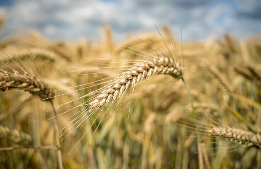 Сьогодні незрозуміло, що і скільки зберуть