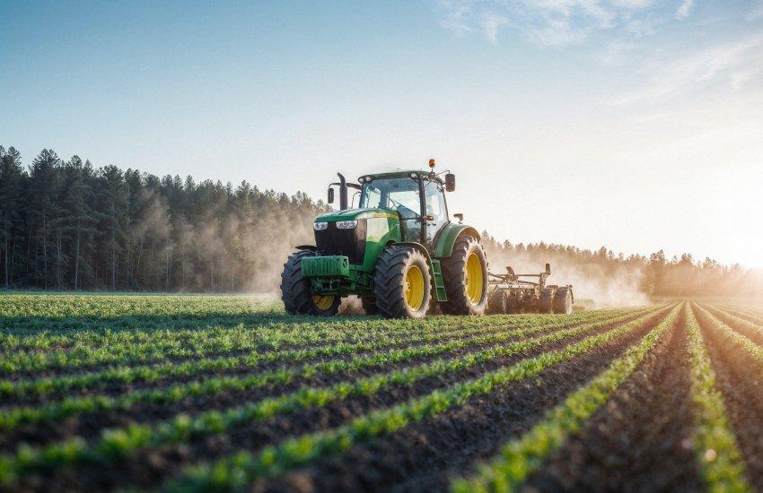 У 2025 році аграрії можуть розраховувати на поступове поліпшення ситуації