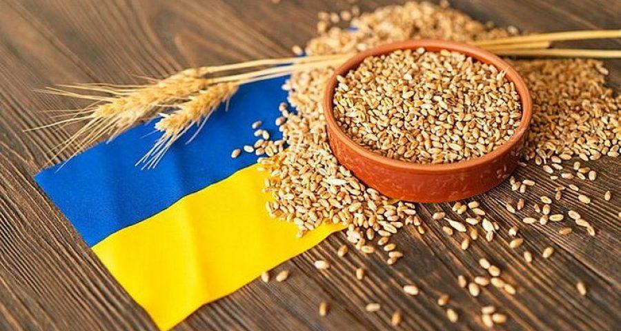 Частка експорту агропродукції в загальному експорті України за 6 місяців 2025 року складає близько 57%